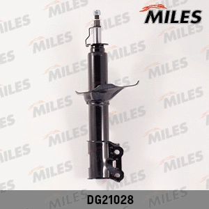 Shock Absorber (DG21028)