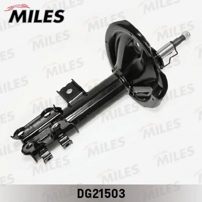 Shock Absorber (DG21503)