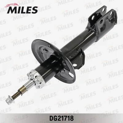 Shock Absorber (DG21718)
