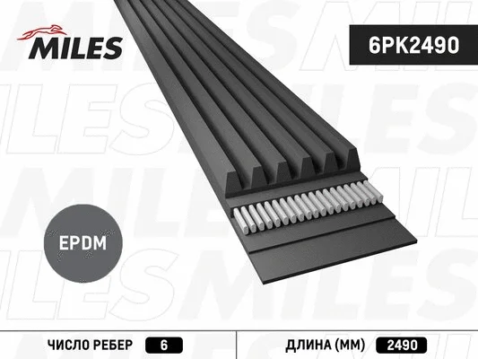 V-Ribbed Belt (6PK2490)
