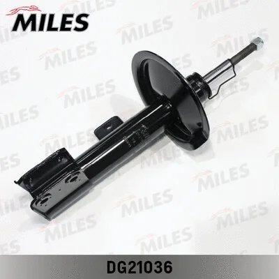 Shock Absorber (DG21036)