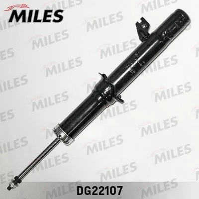 Shock Absorber (DG22107)