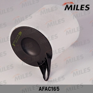 Air Filter (AFAC165)
