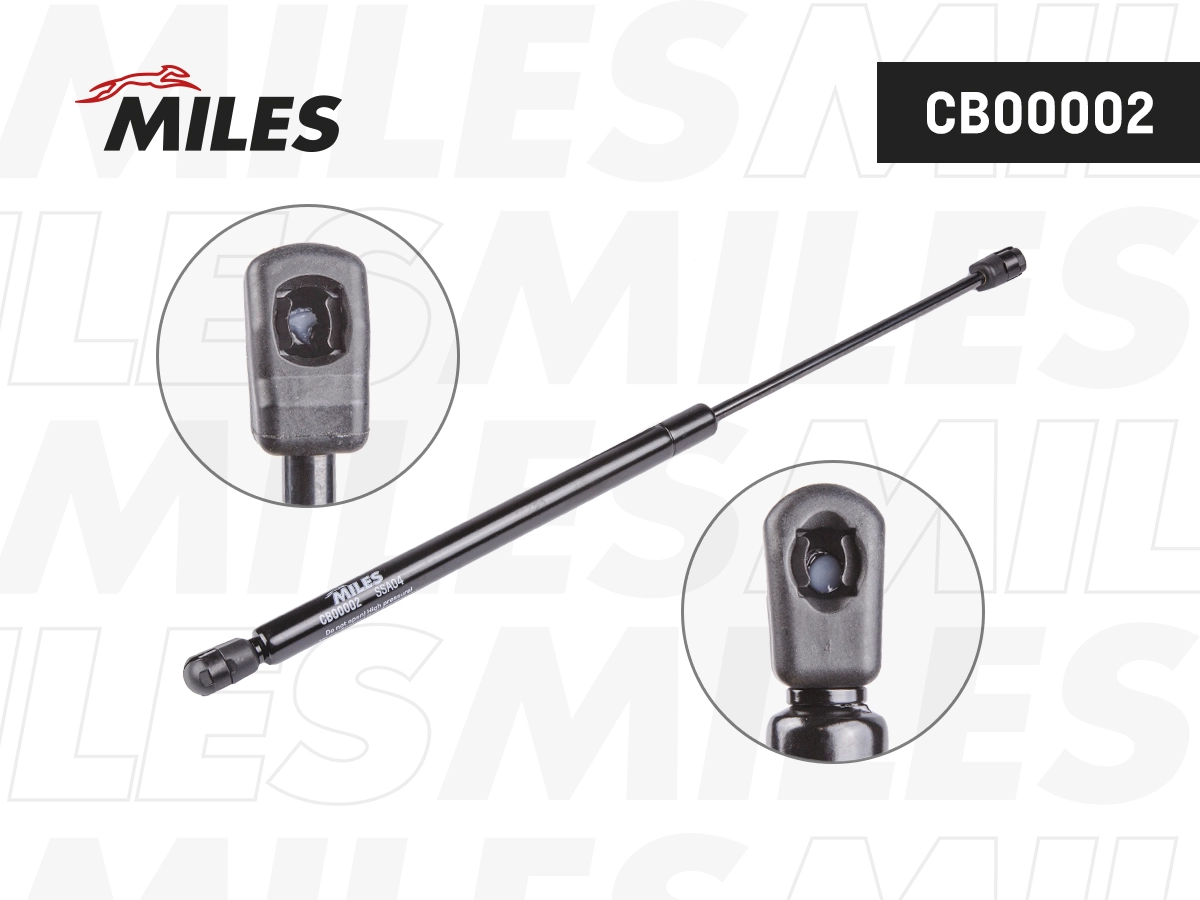 Gas Spring, boot/cargo area