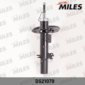 Shock Absorber (DG21079)