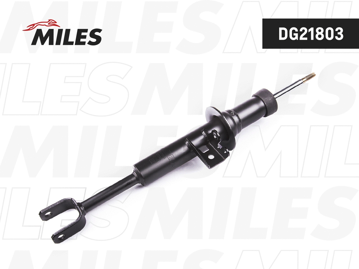 Shock Absorber (DG21803)