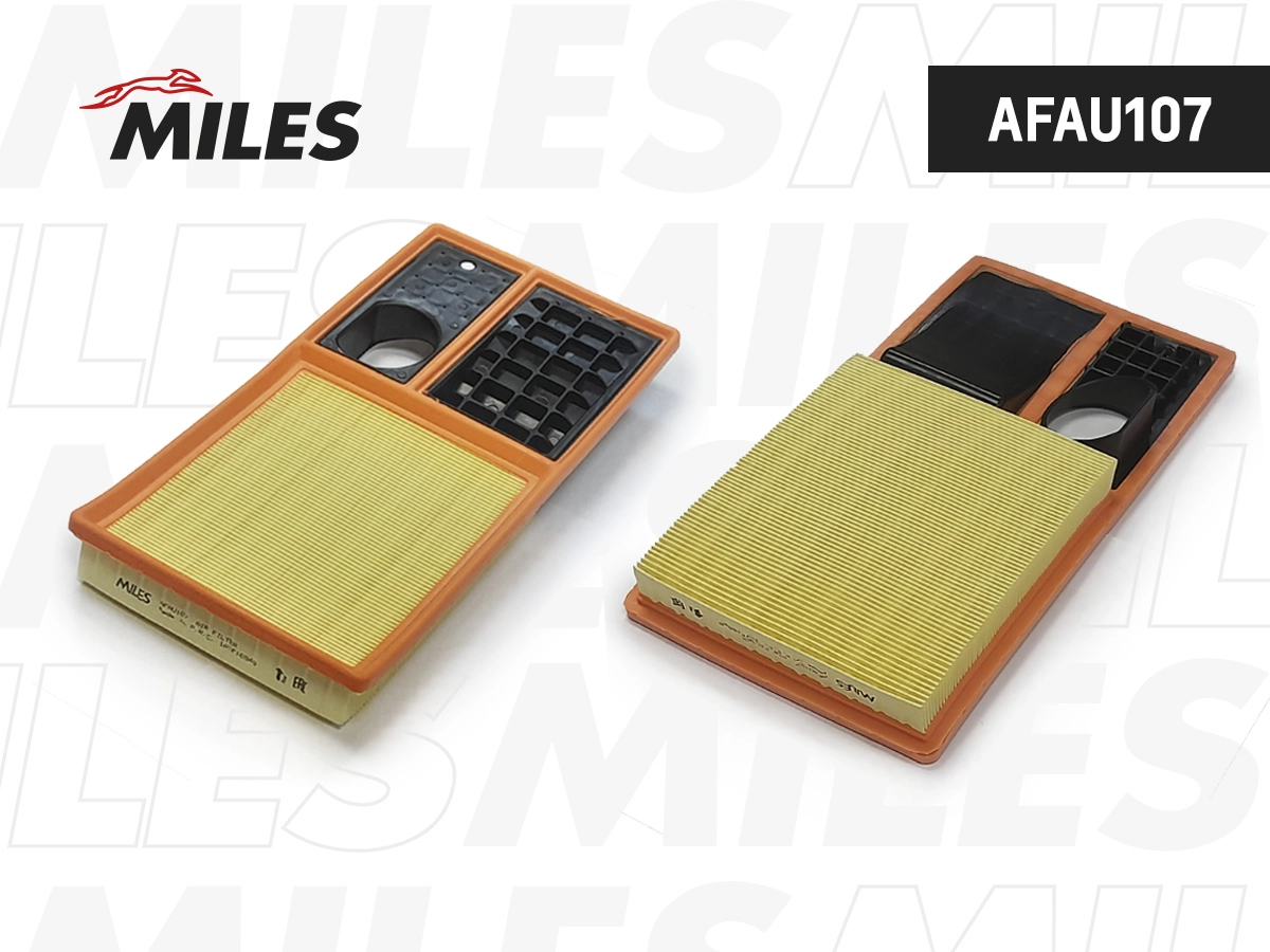 Air Filter (AFAU107)