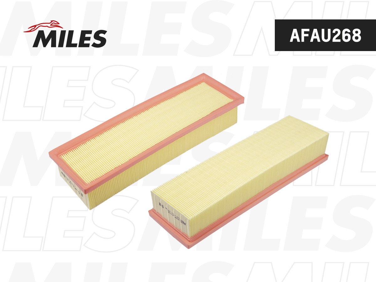 Air Filter (AFAU268)