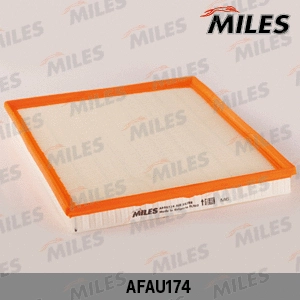Air Filter (AFAU174)