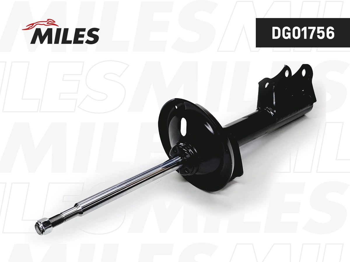 Shock Absorber (DG01756)