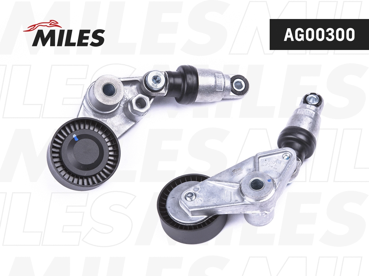 Tensioner Lever, V-ribbed belt (AG00300)