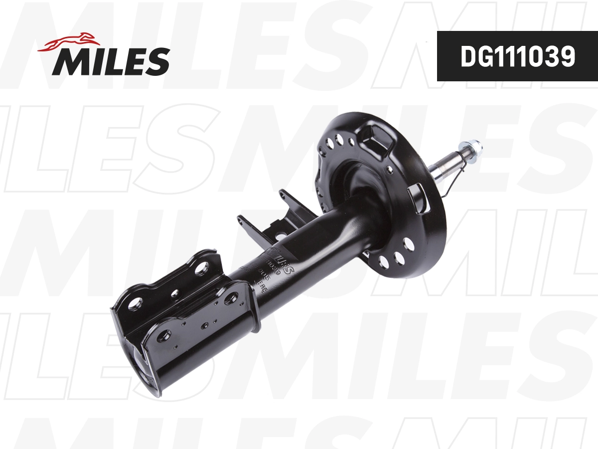 Shock Absorber (DG111039)