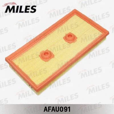 Air Filter (AFAU091)