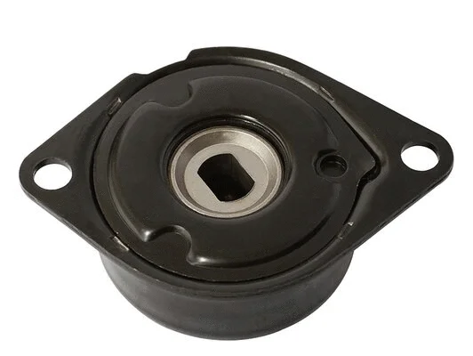 Tensioner Lever, V-ribbed belt (AG00108)