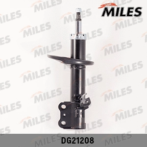 Shock Absorber (DG21208)