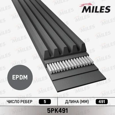 V-Ribbed Belt (5PK491)