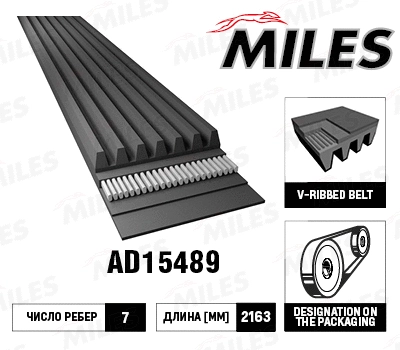 V-Ribbed Belt (AD15489)