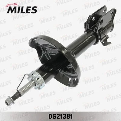 Shock Absorber (DG21381)