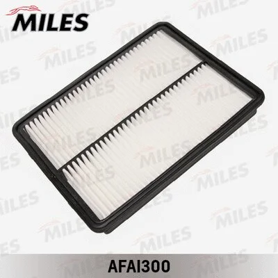 Air Filter (AFAI300)