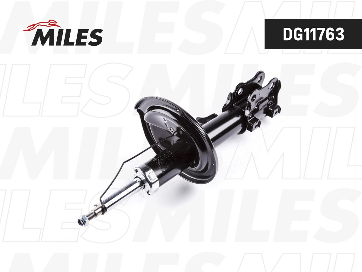 Shock Absorber (DG11763)