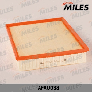 Air Filter (AFAU038)