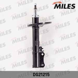 Shock Absorber (DG21215)