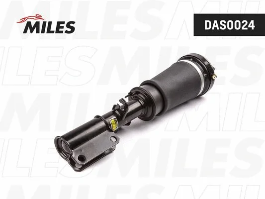 Air Suspension Strut (DAS0024)