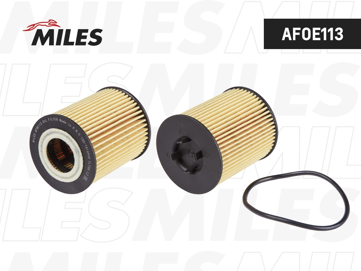 Oil Filter (AFOE113)