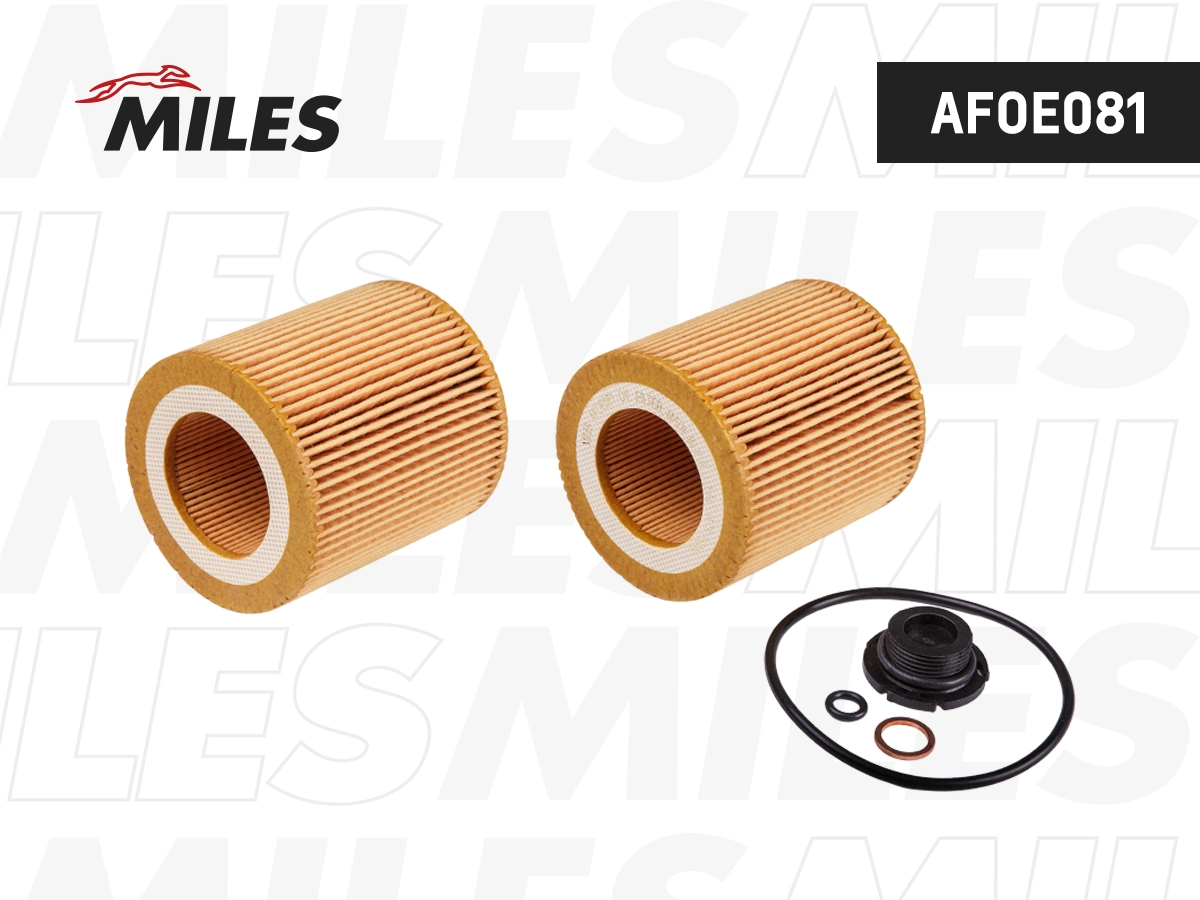 Oil Filter (AFOE081)