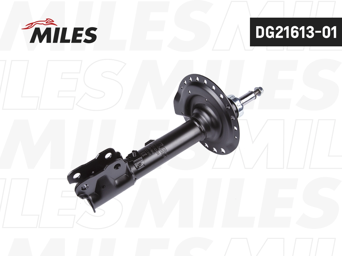 Shock Absorber (DG21613-01)