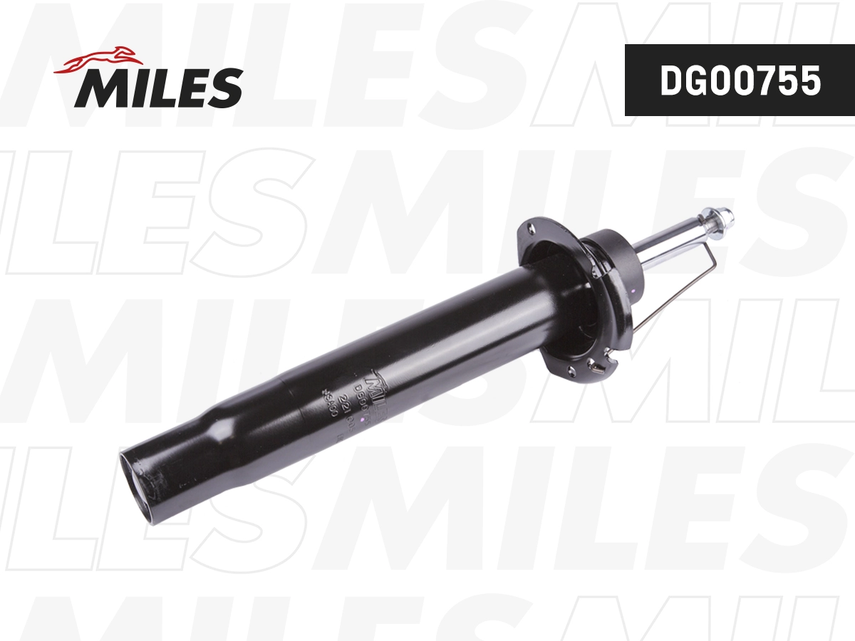 Shock Absorber (DG00755)