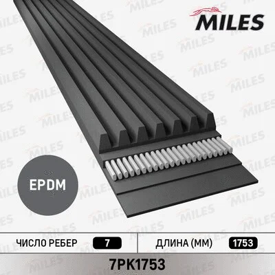 V-Ribbed Belt (7PK1753)