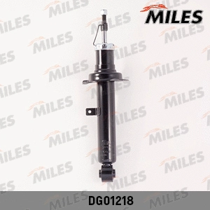 Shock Absorber (DG01218)