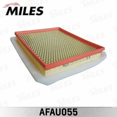 Air Filter (AFAU055)