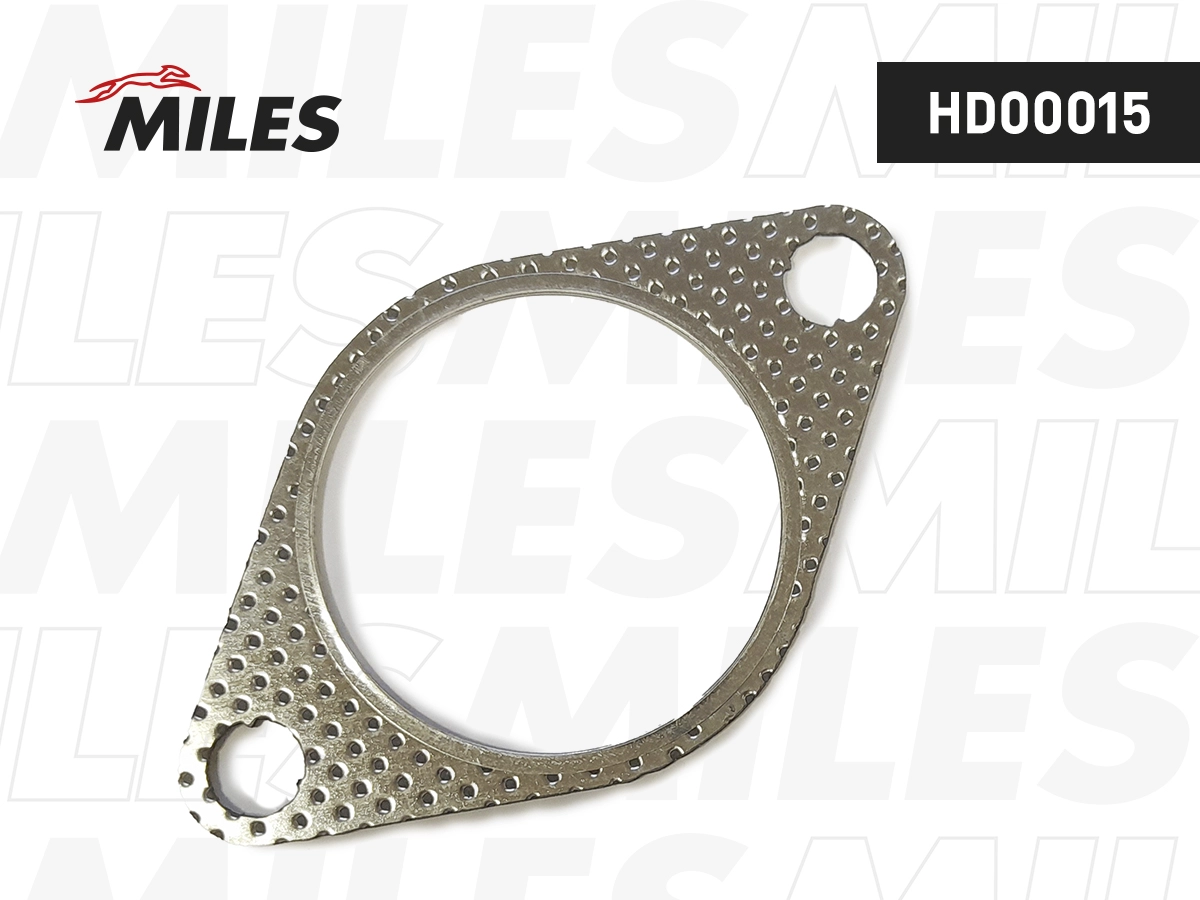 Gasket, exhaust pipe (HD00015)