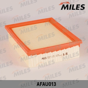 Air Filter (AFAU013)