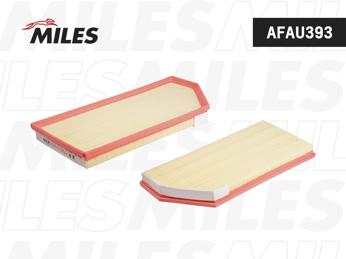 Air Filter (AFAU393)
