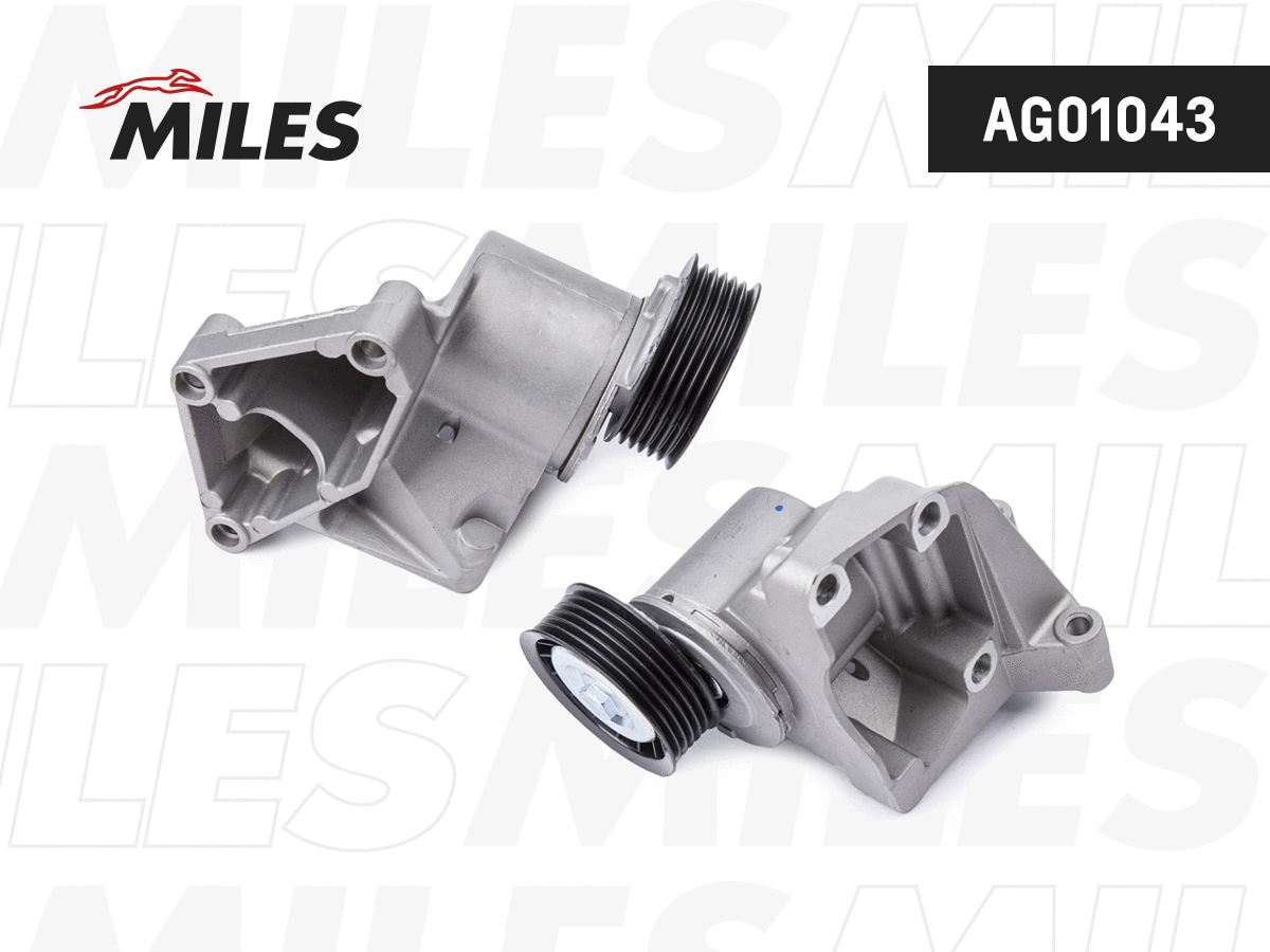 Tensioner Lever, V-ribbed belt (AG01043)