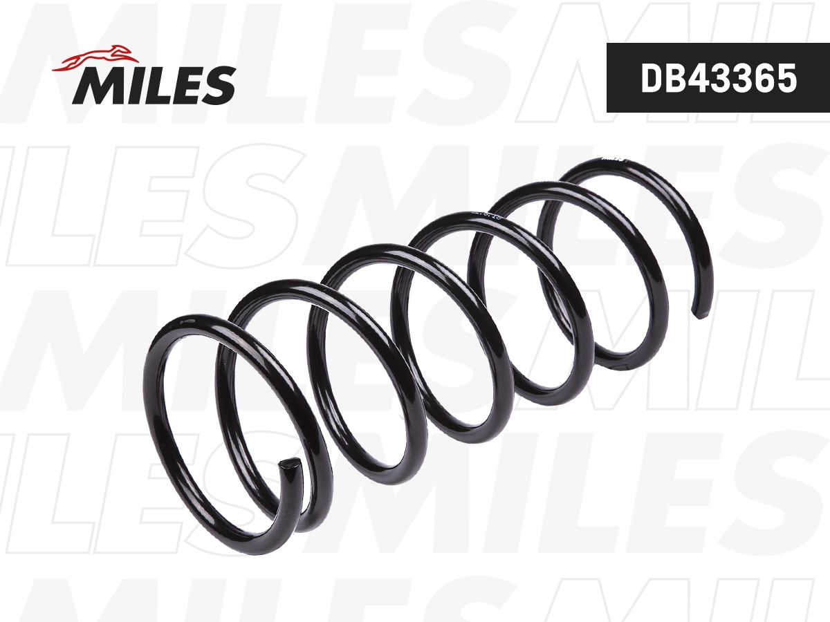 Suspension Spring (DB43365)