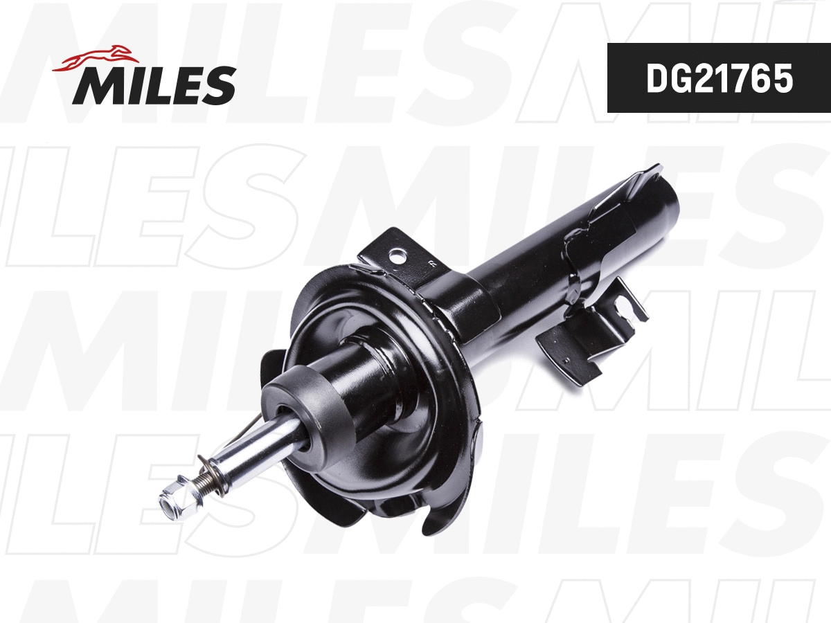 Shock Absorber (DG21765)
