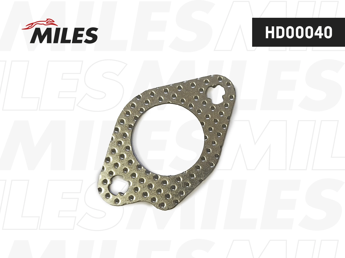 Gasket, EGR valve pipe (HD00040)