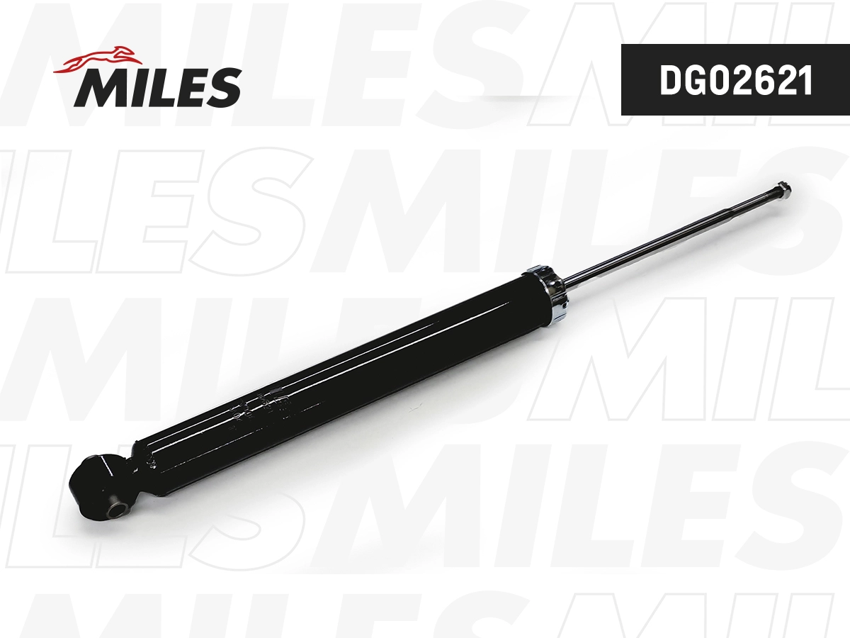 Shock Absorber (DG02621)