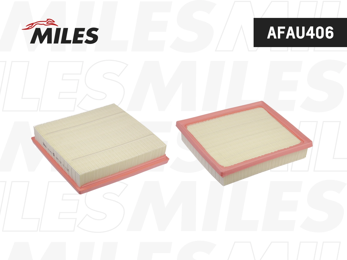 Air Filter (AFAU406)