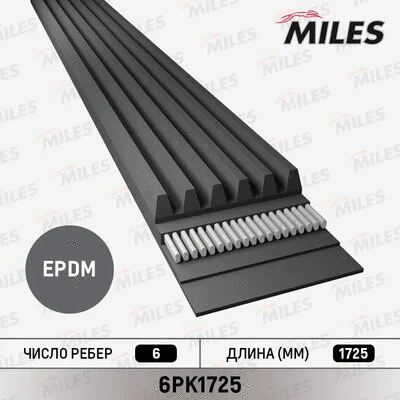 V-Ribbed Belt (6PK1725)
