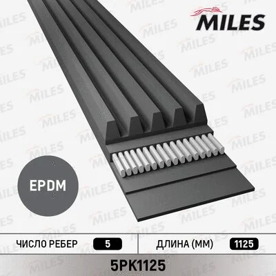 V-Ribbed Belt (5PK1125)