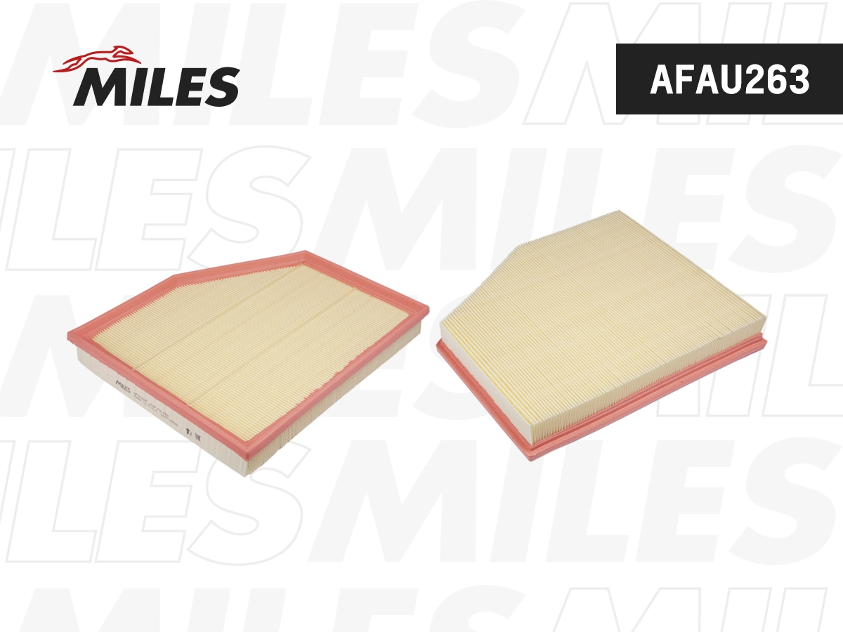 Air Filter (AFAU263)