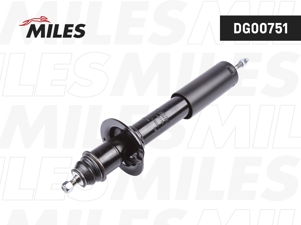 Shock Absorber (DG00751)