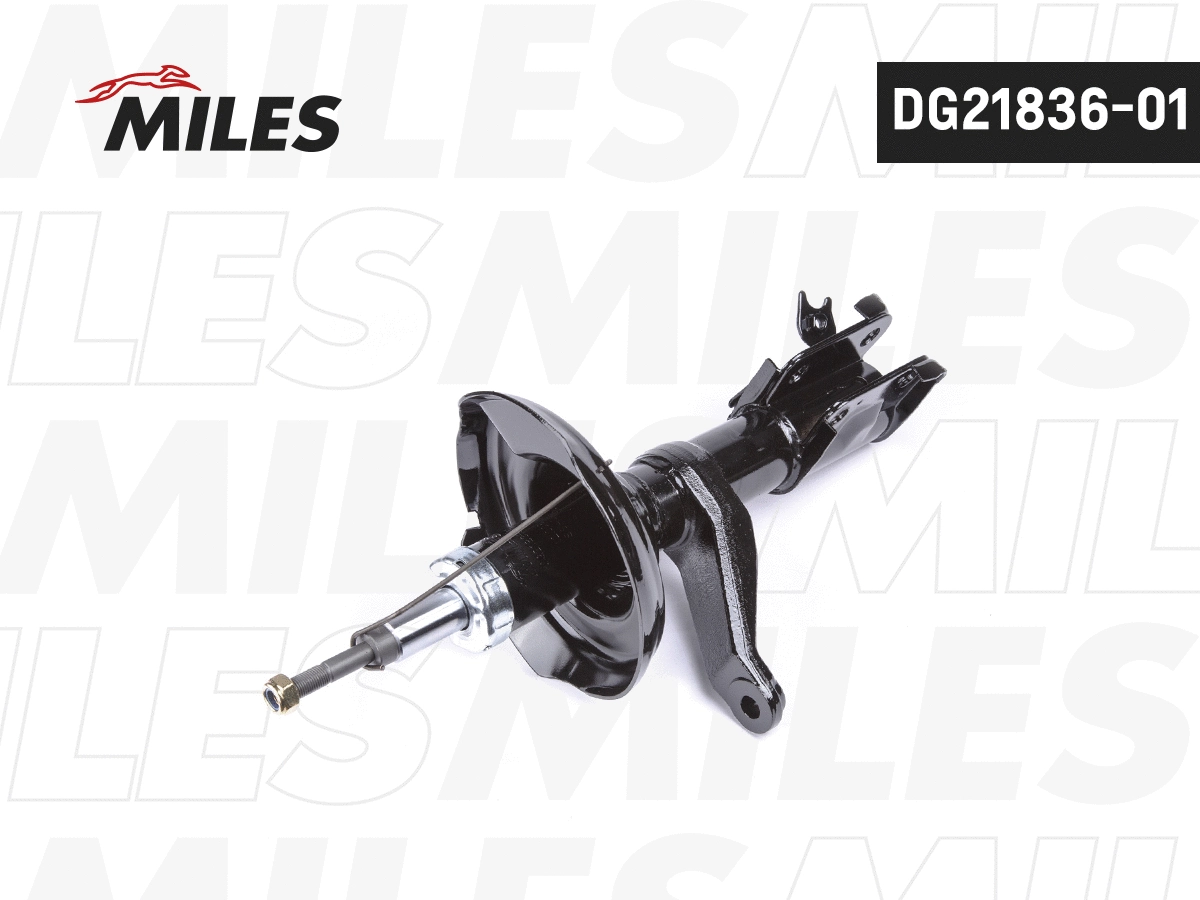 Shock Absorber (DG21836-01)