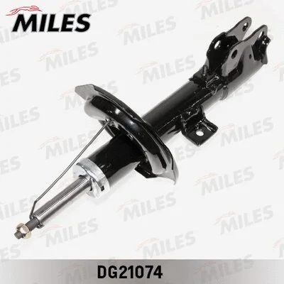 Shock Absorber (DG21074)