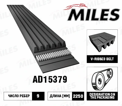 V-Ribbed Belt (AD15379)